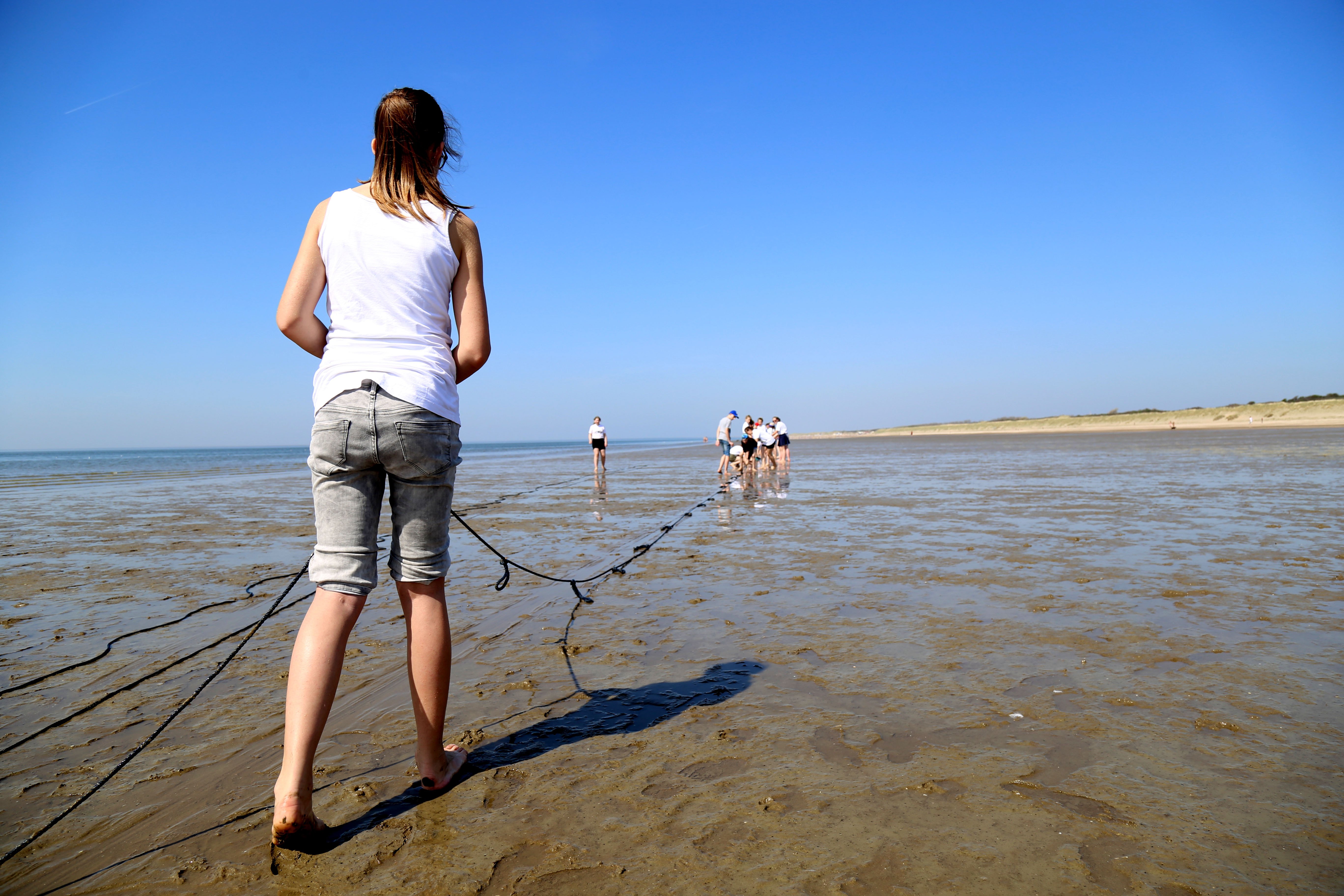 Veldles Haringvliet. Foto: Tessel in 't Veld