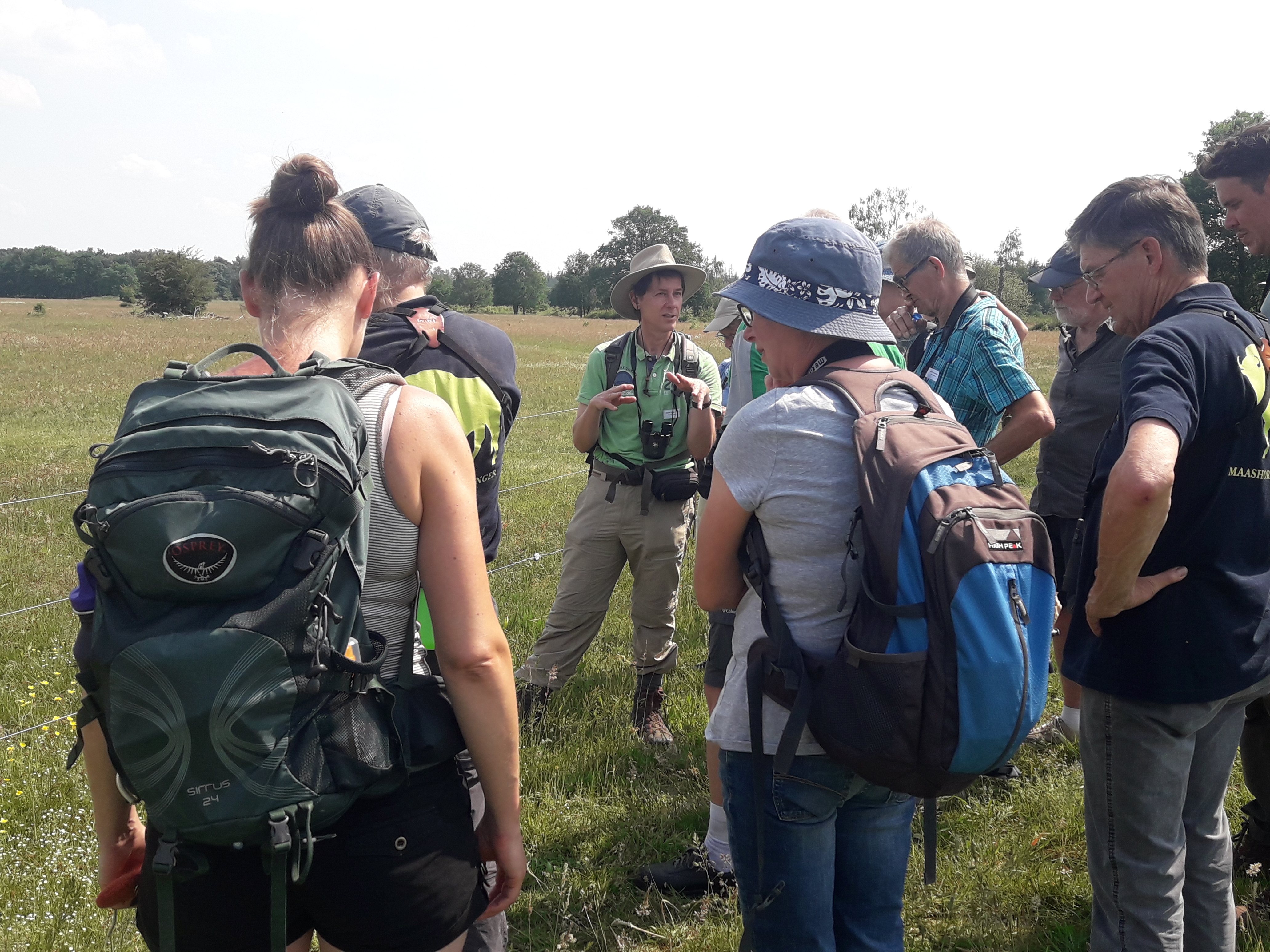 Vlinderexcursie Maashorst