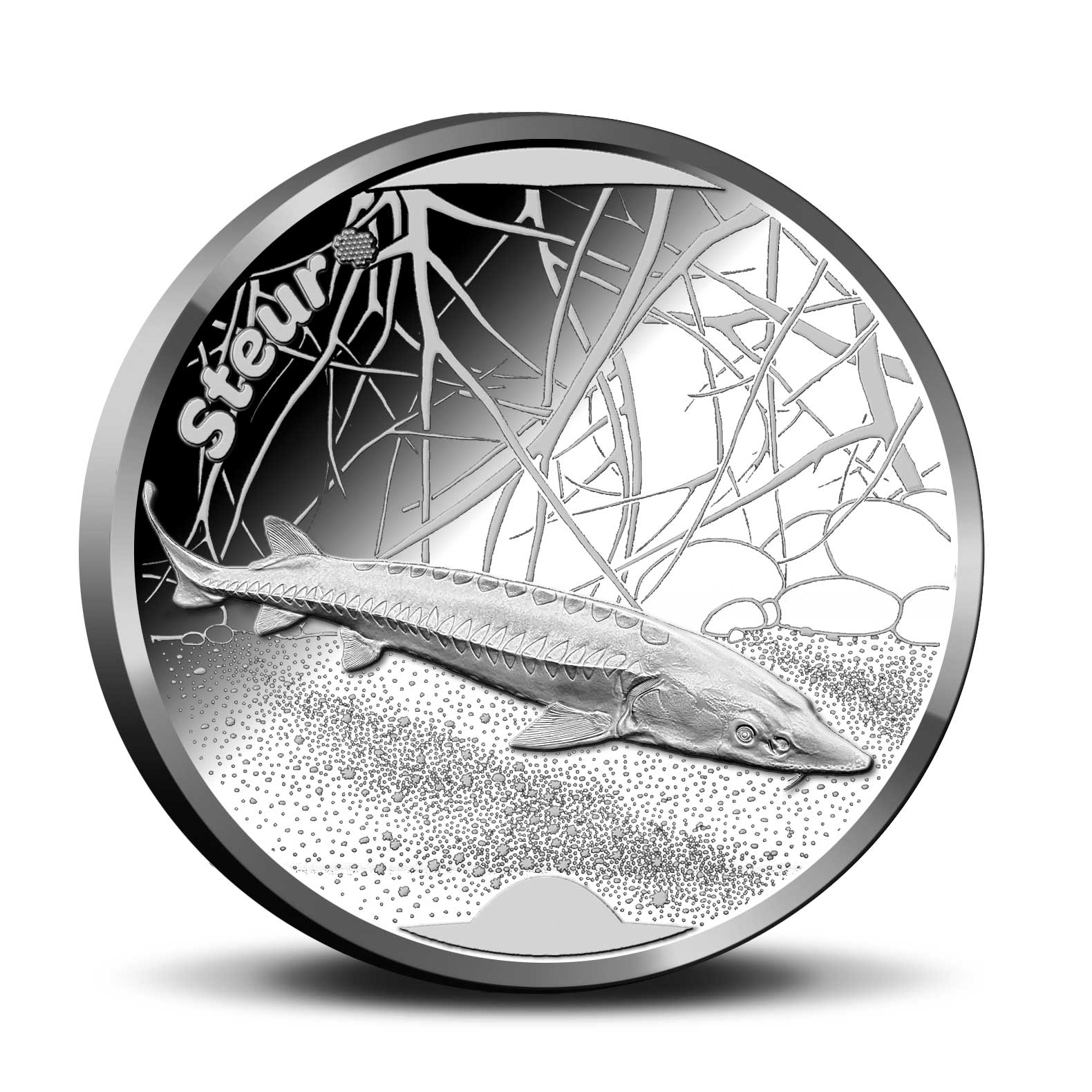 Steur penning in de Wildlife in Nederland collectie