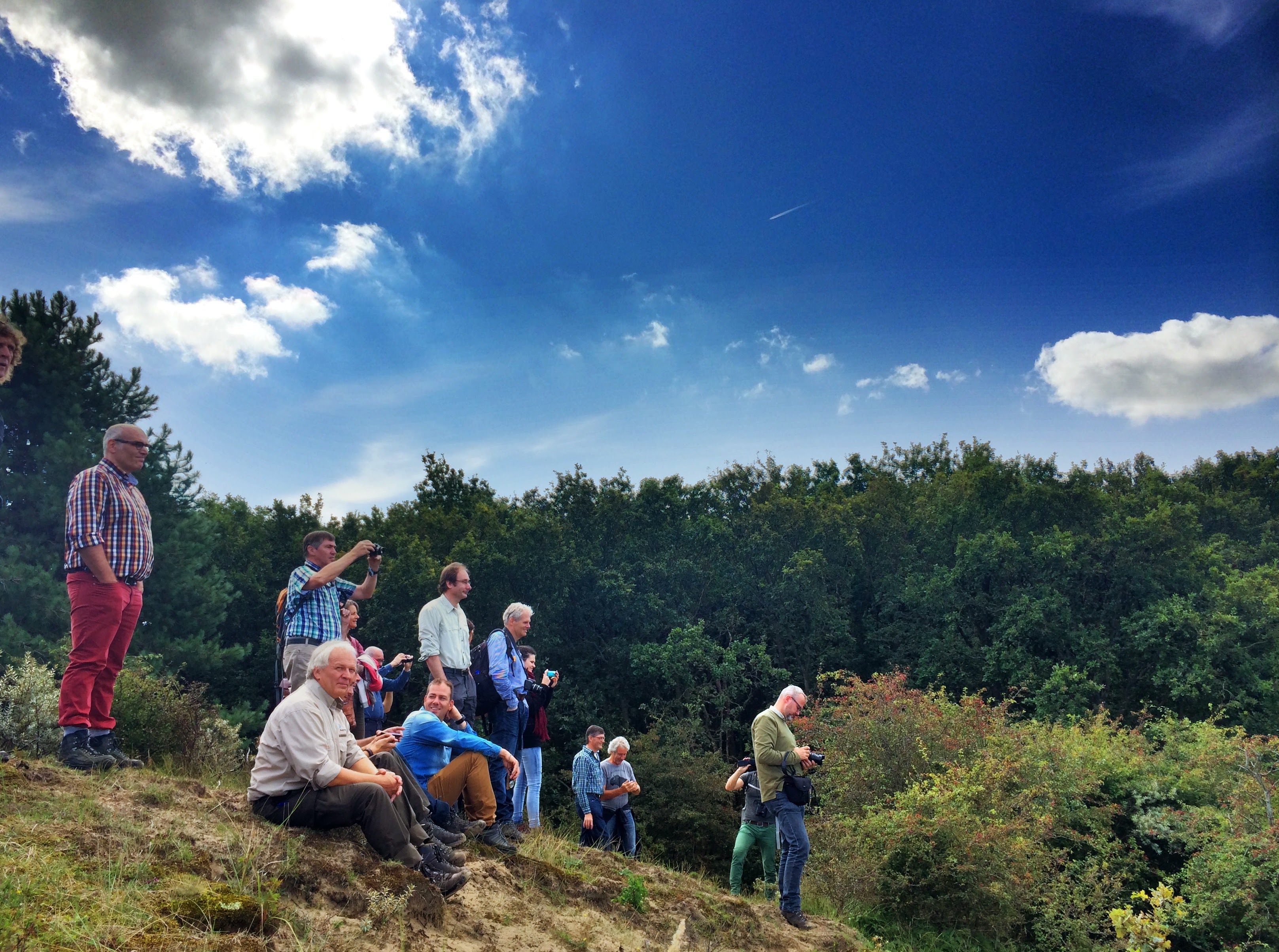 Excursie naar de wisenten