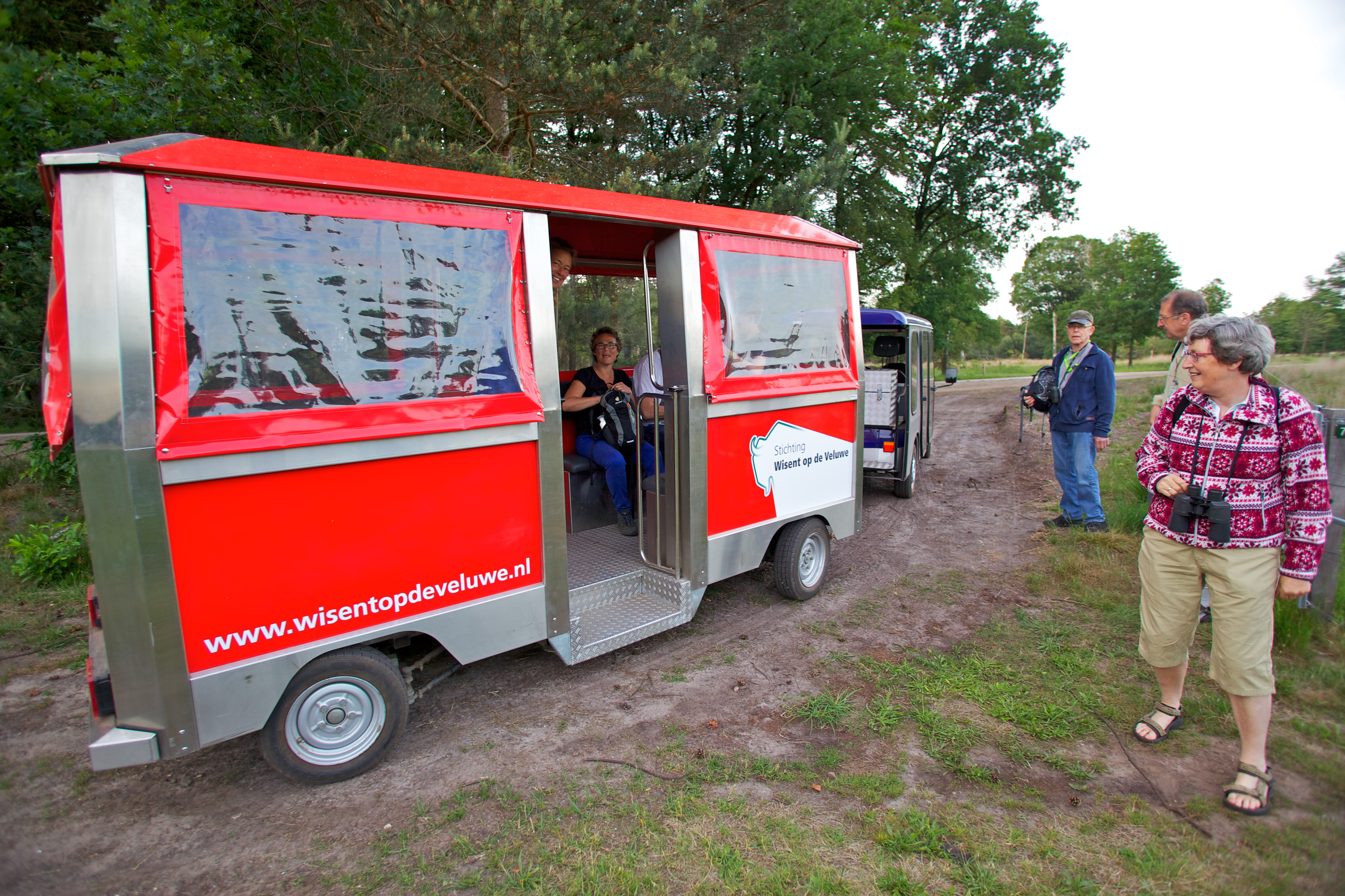 Wisentexcursie op de Veluwe