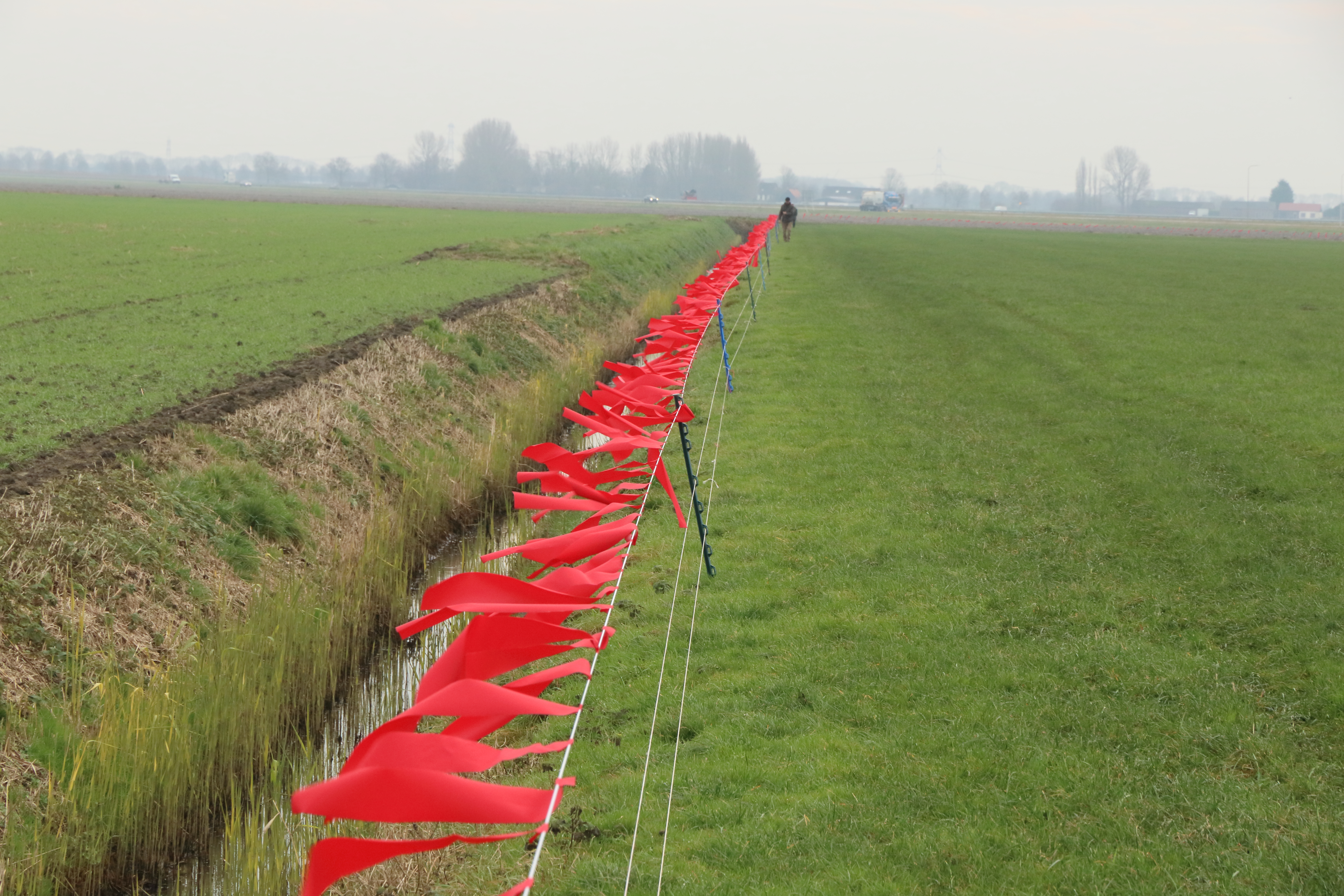 Uitrol van de turbo fladry voor het beschermen van schapen tegen de aanval van wolven
