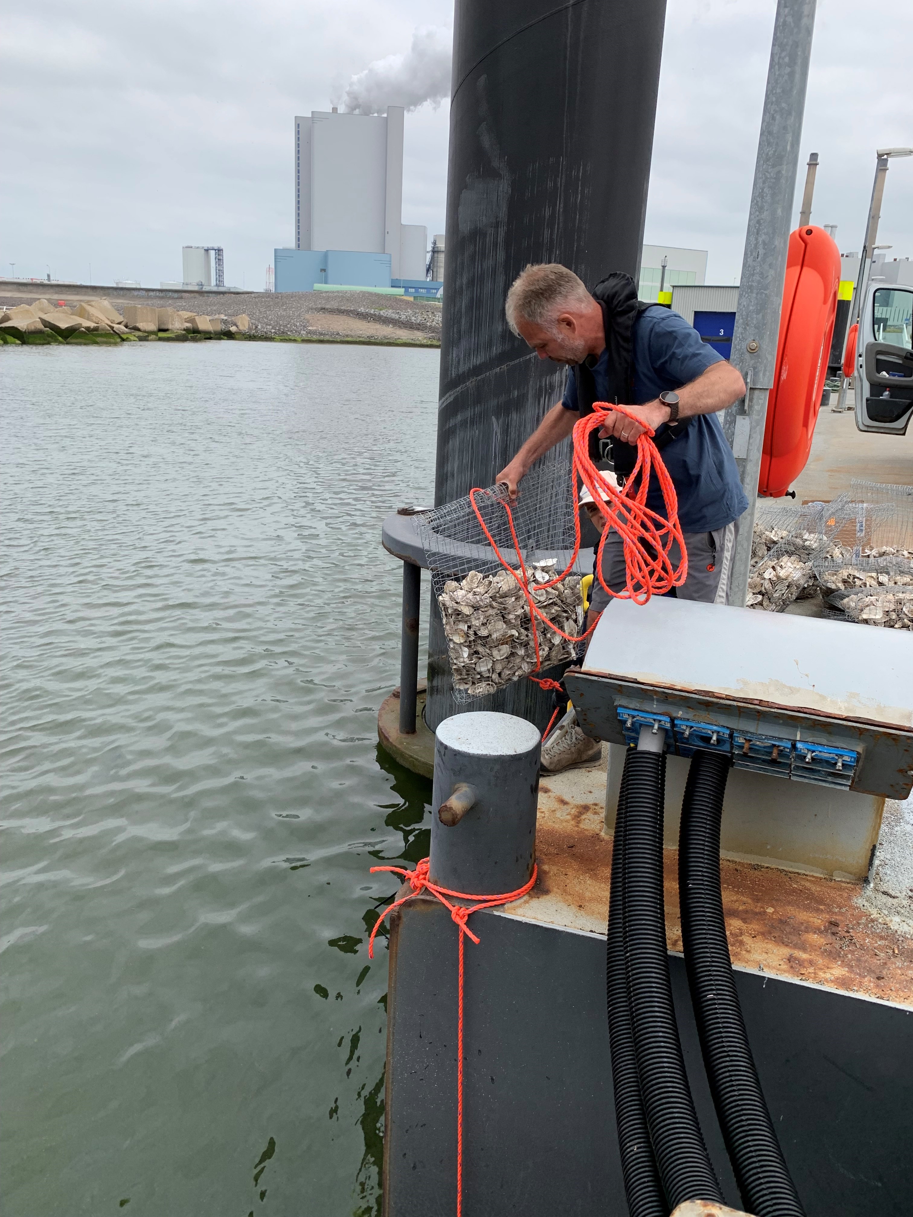 ARK'er Gijs van Zonneveld laat een 'tas' met lege oesterschelpen te water. 