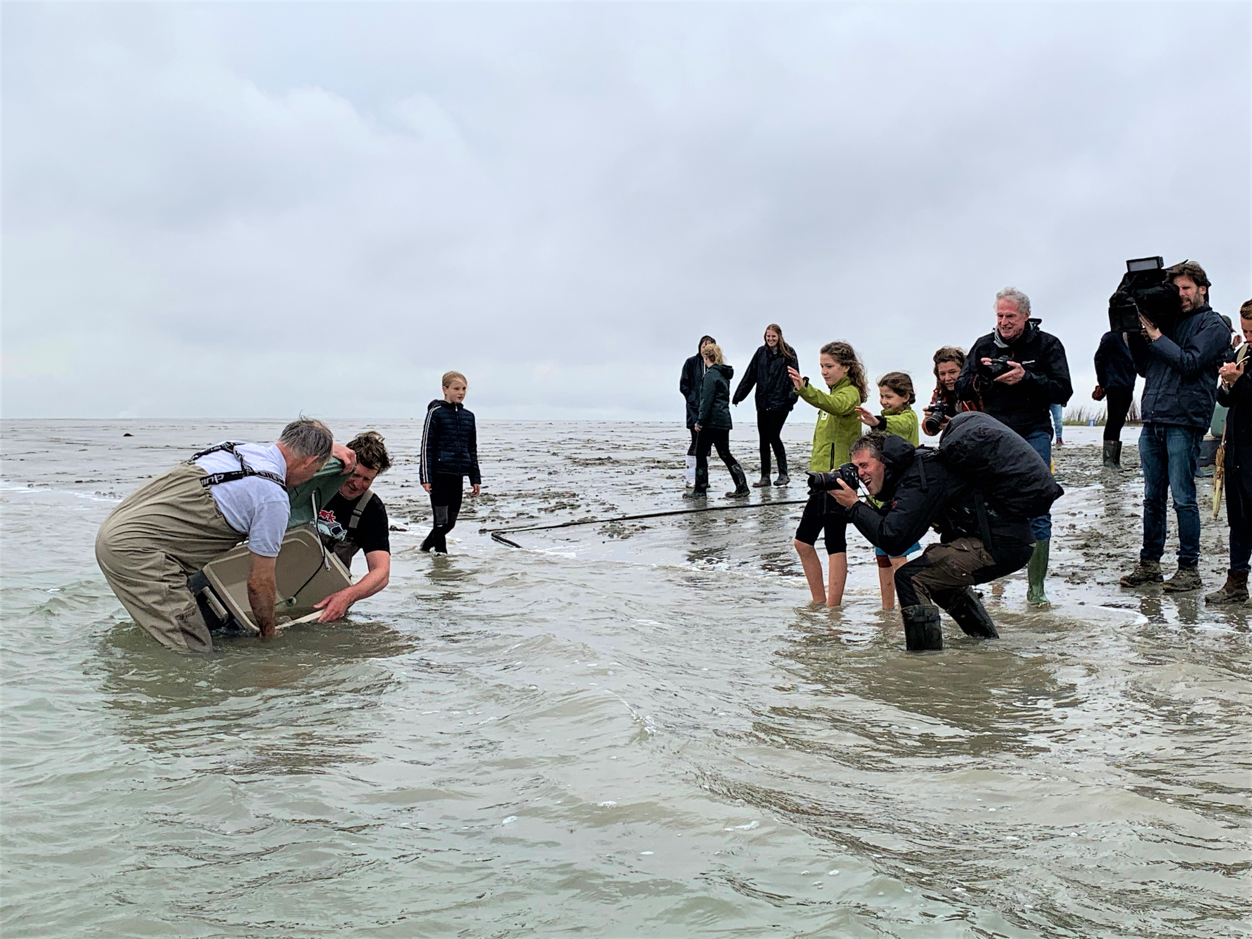 Ondanks het slechte weer konden de 18 stekelroggen op zaterdag 3 oktober succesvol worden uitgezet (Foto: Gijs van Zonneveld/ARK)
