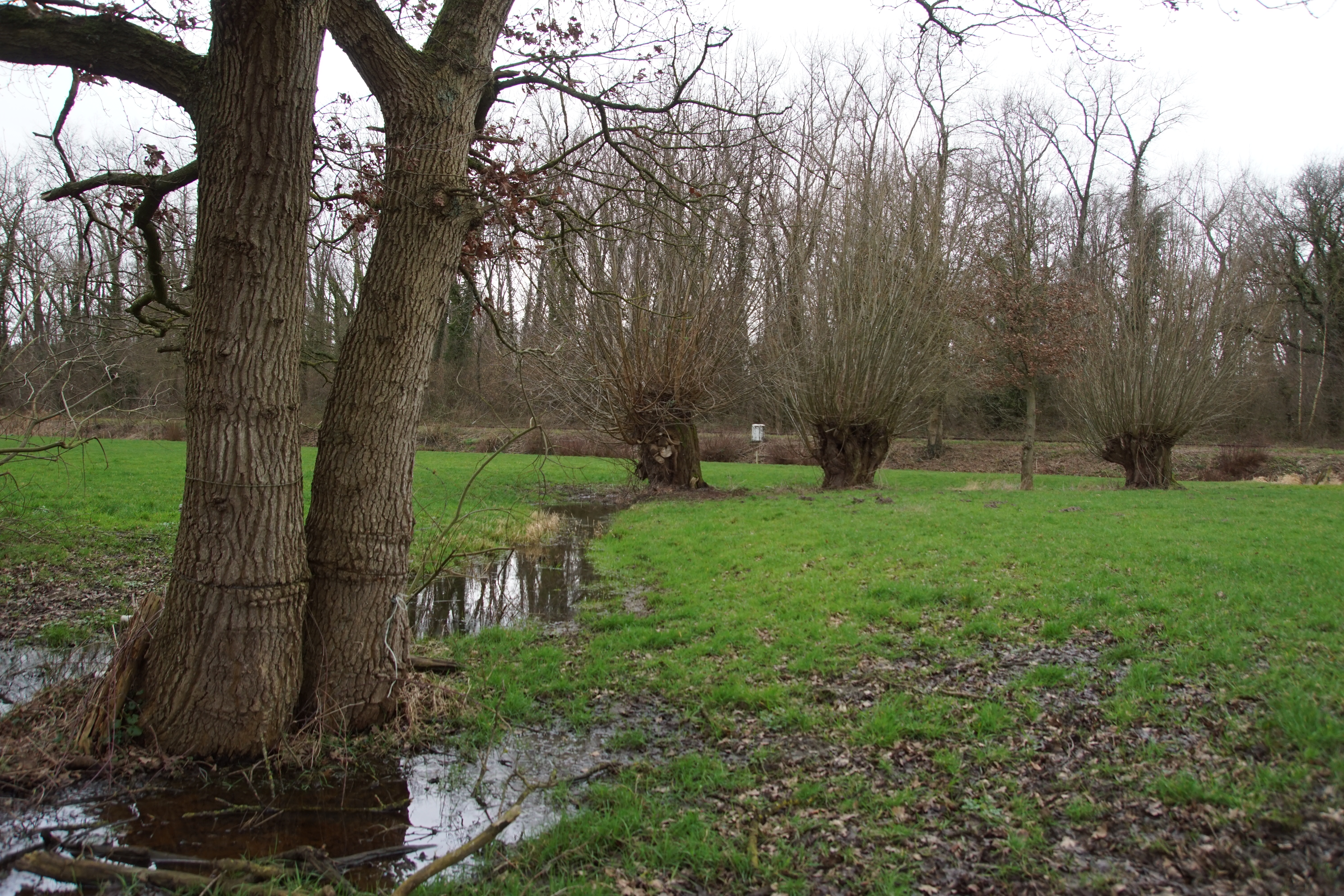 Beeld van het projectgebied rond Kasteren (Foto: Bert Vervoort)
