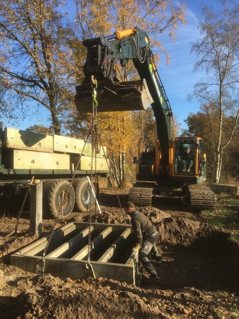 De wildroosters worden geplaatst in het Kempen~Broek