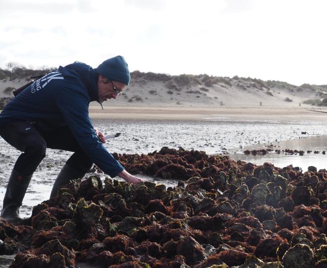 Francesc Montsserrat