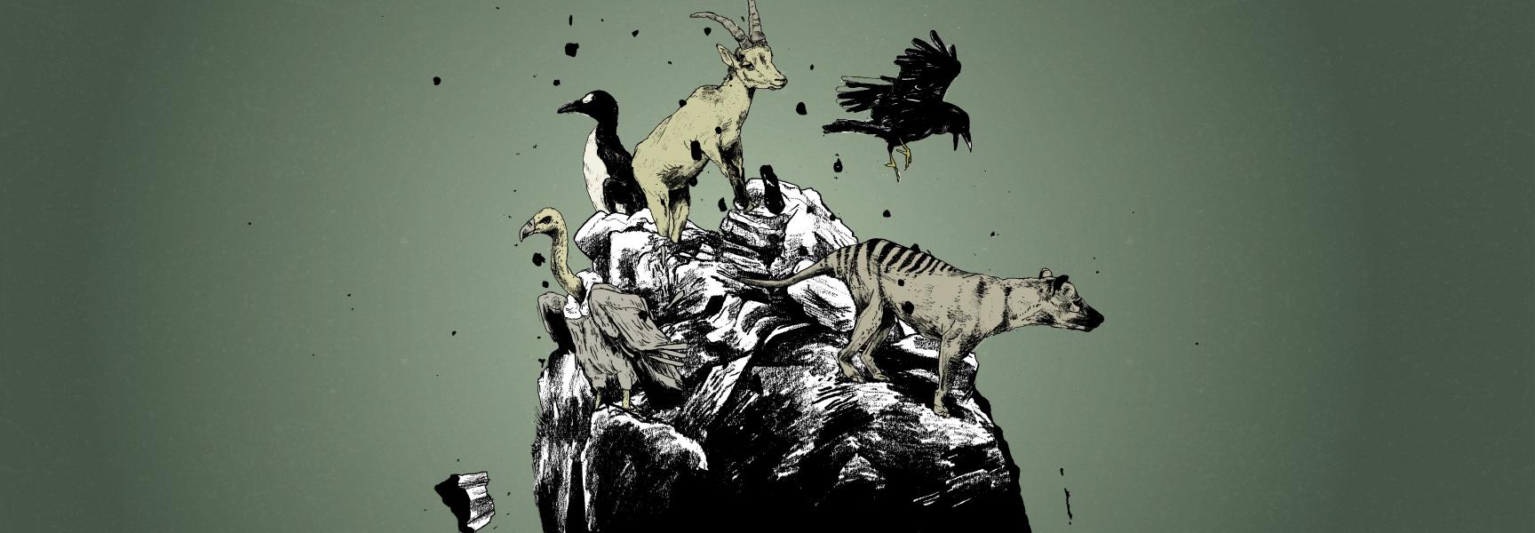 Podcast de Weg van de dodo