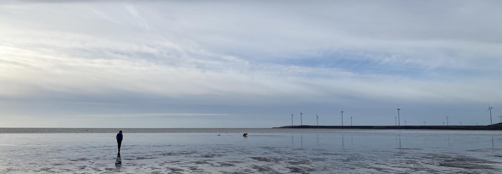 De Slikken van Voorne (Francesc Montserrat)