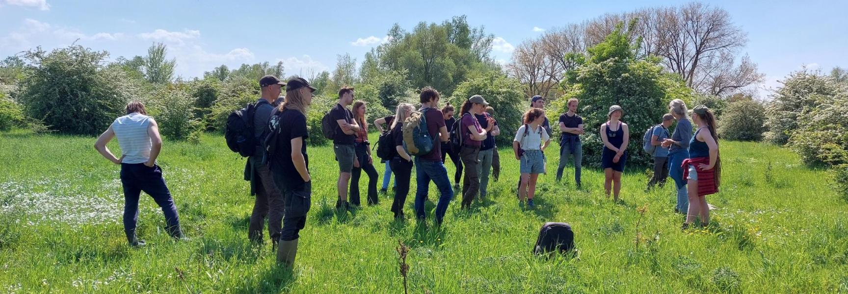 Millingerwaard met Jonge Rewilders