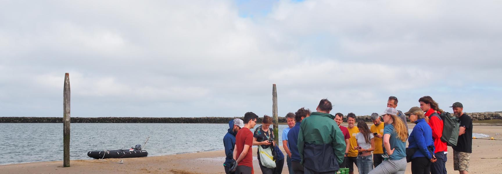 Het Seascape Collectief langs de Brouwersdam 