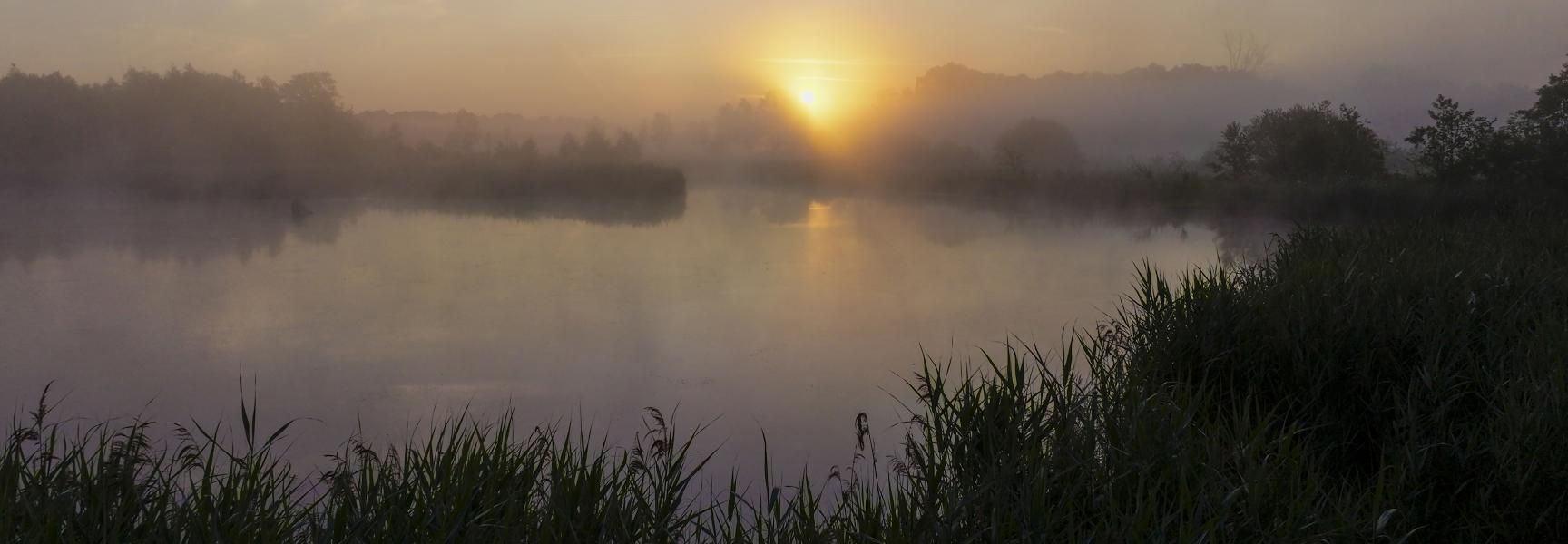 Rewildingslandschap in het KempenBroek