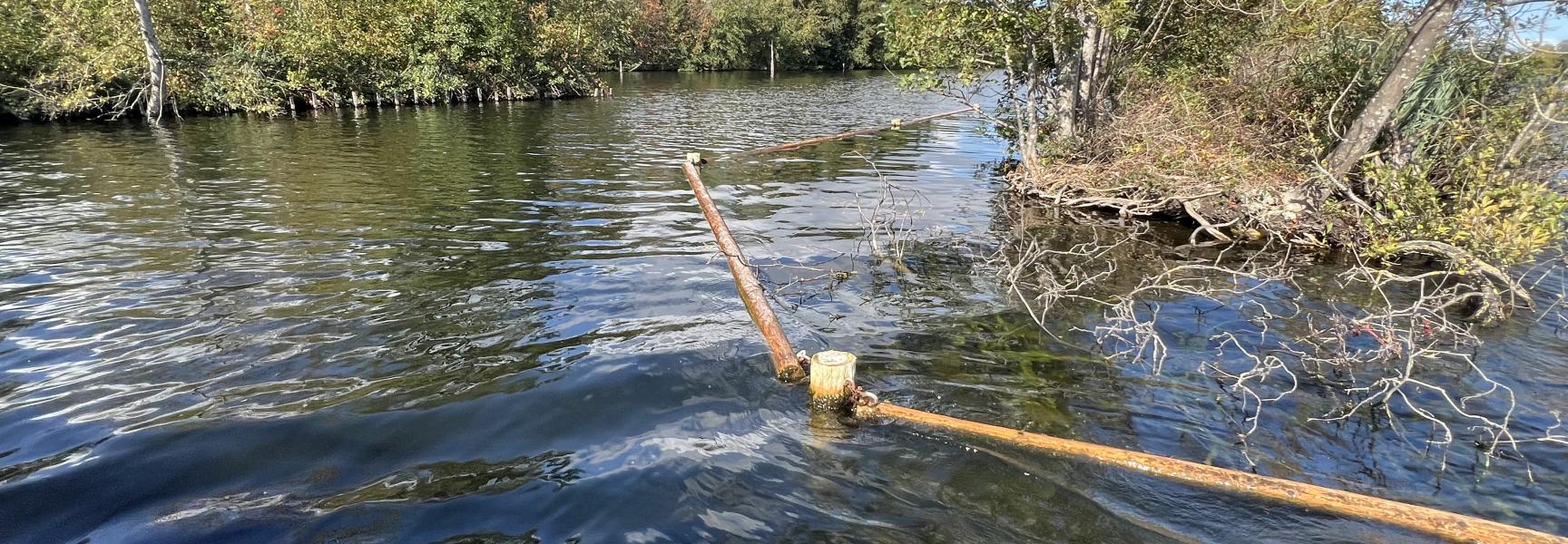 Golfbreker bij legakker Vinkeveense Plassen