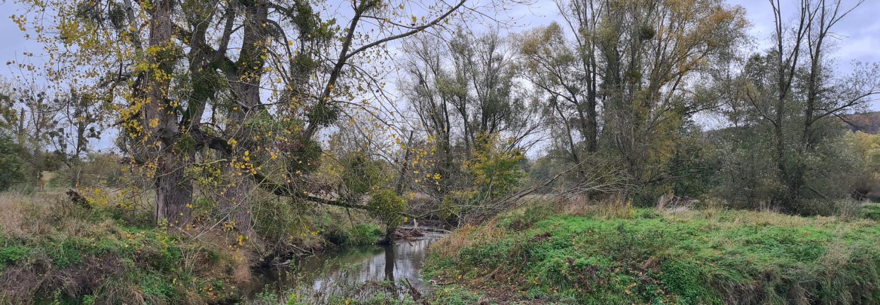 Geuldal oktober 2025