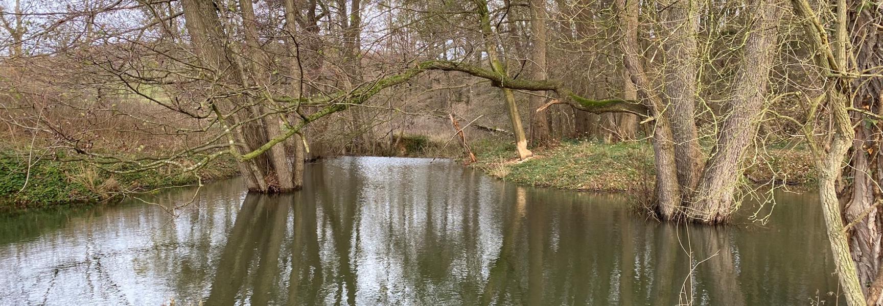 Excursie Imke  Hondsbohn