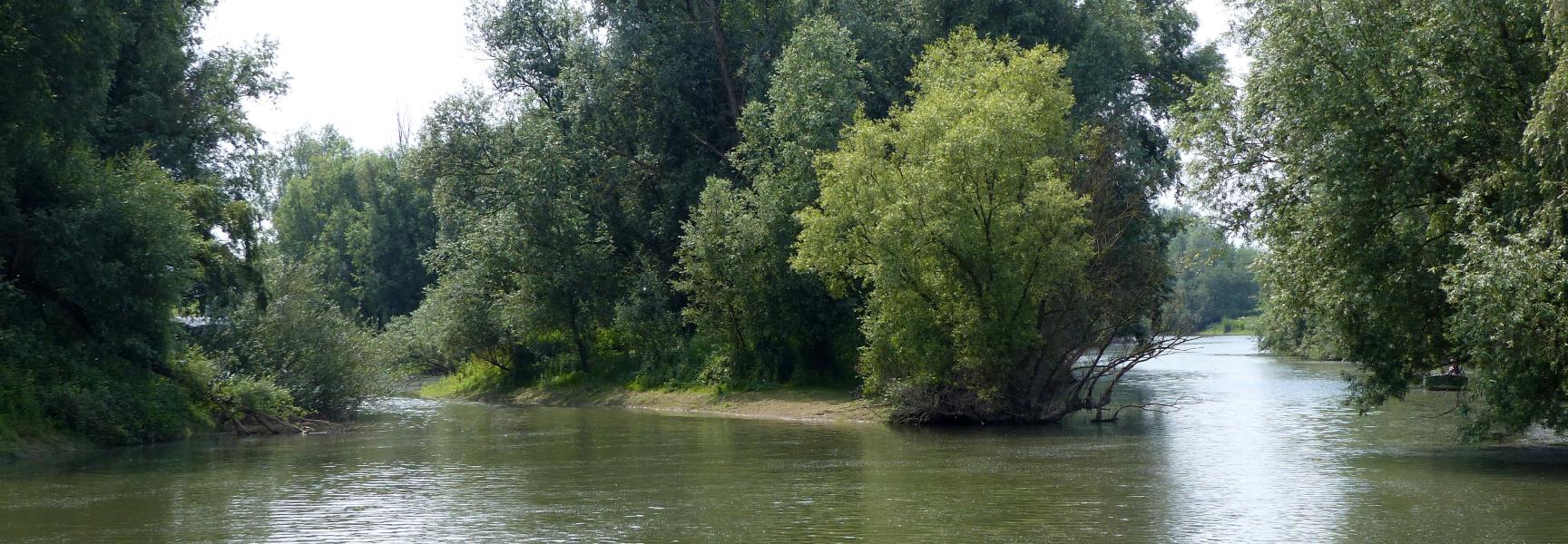 Leeuwense waard