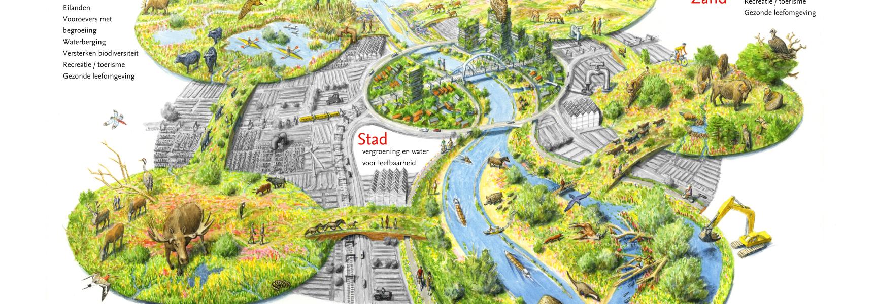 Illustratie Nature-based solutions door Jeroen Helmer