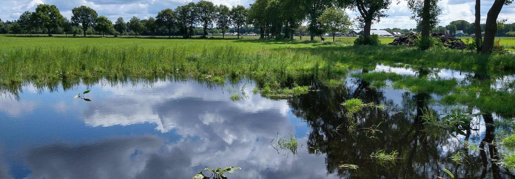 Veenhuizerveld