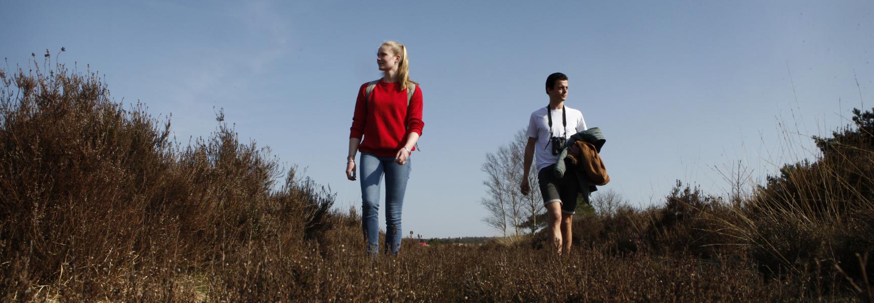 Kadaverjacht op de Veluwe, onderzoek stagiairs Marleen en Domien naar wolf en aaseters