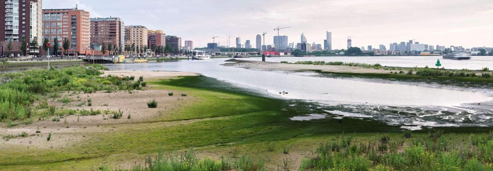 Nationaal Groeifonds nature-based solutions