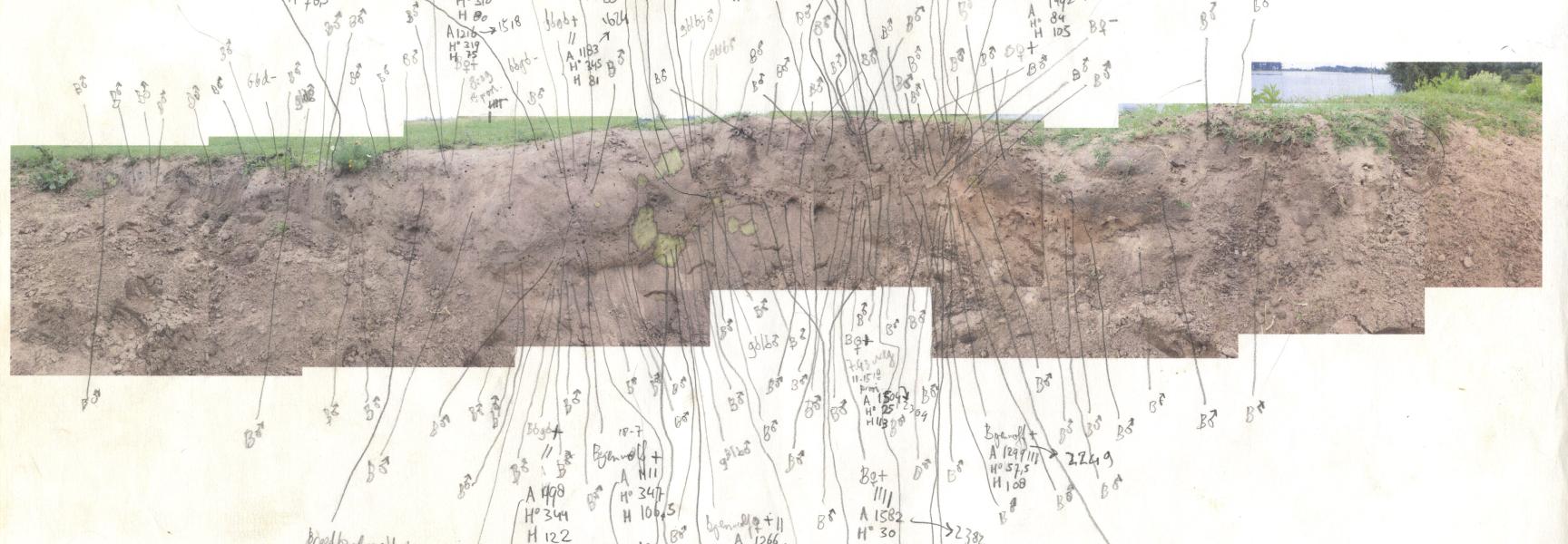 Aantekeningen uit de stierenkuil '20