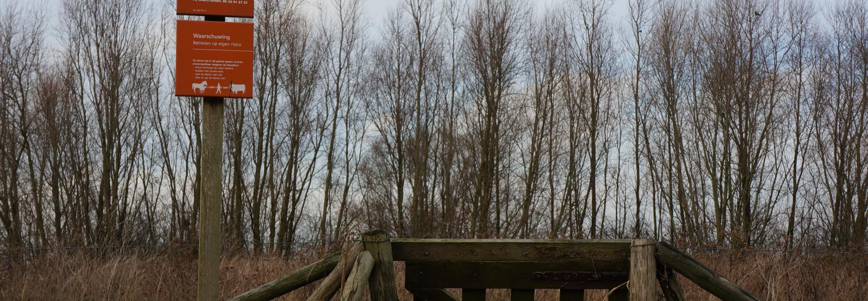 Hoogwater in de Waal, Beuningen 2013