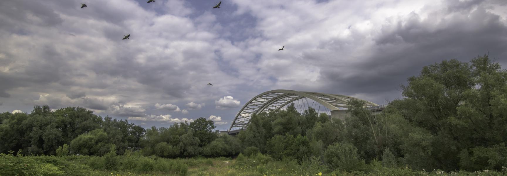 Eiland van Brienenoord, foto: Gert de Graaf