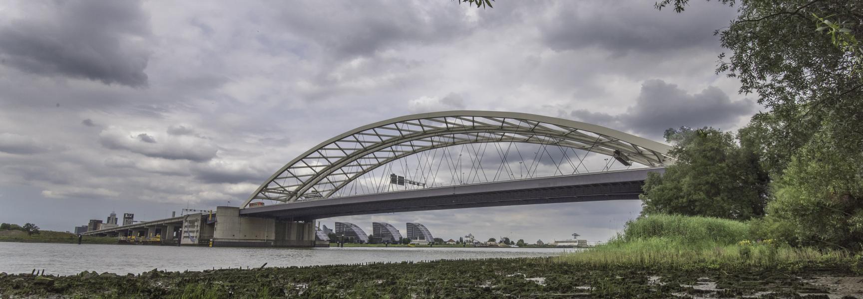 Eiland van Brienenoord