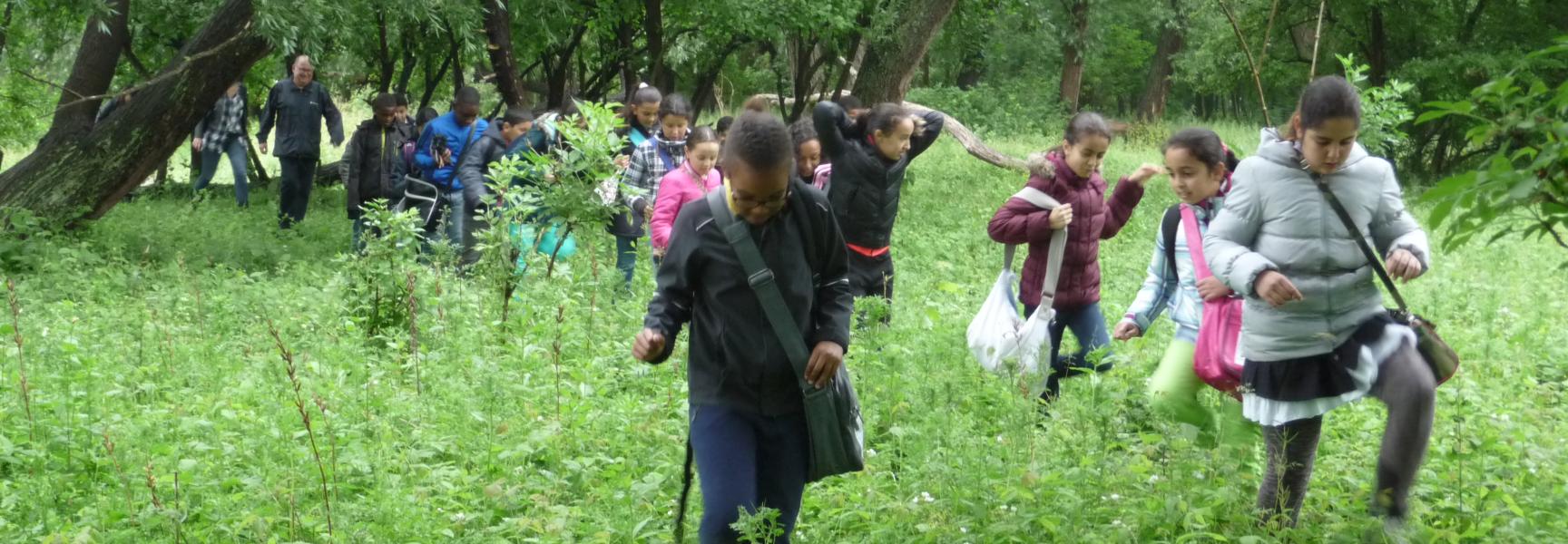 Eiland van Brienenoord