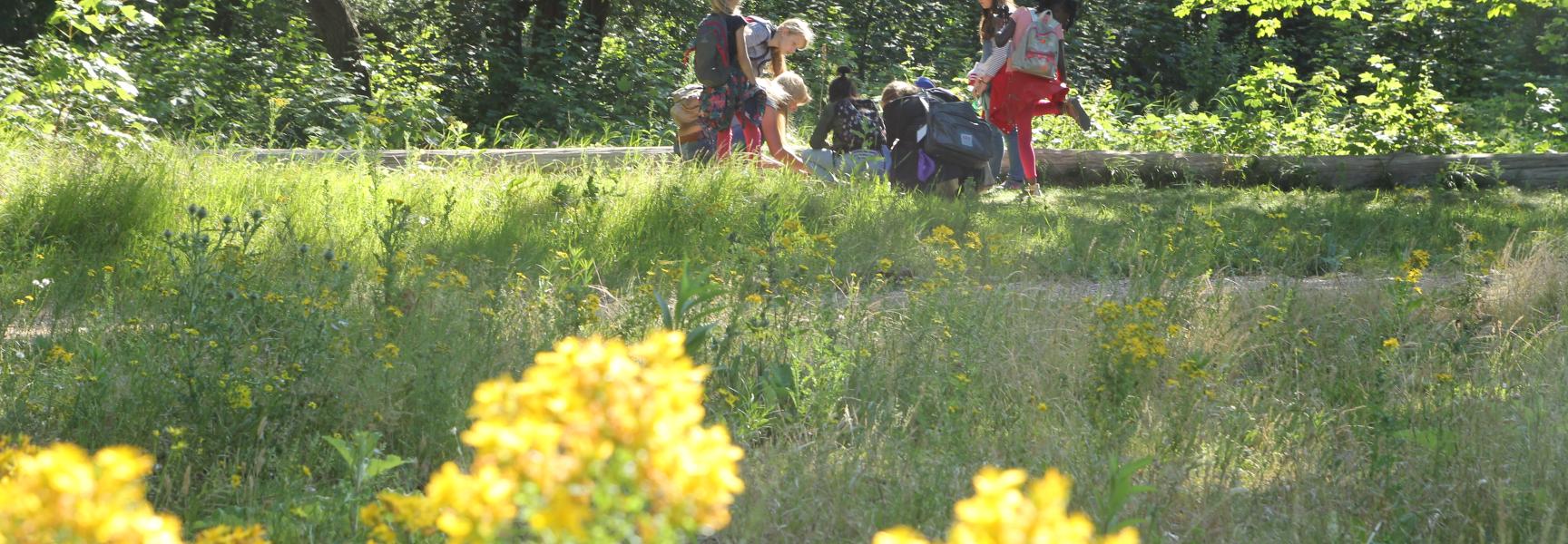Veldles Eiland van Brienenoord
