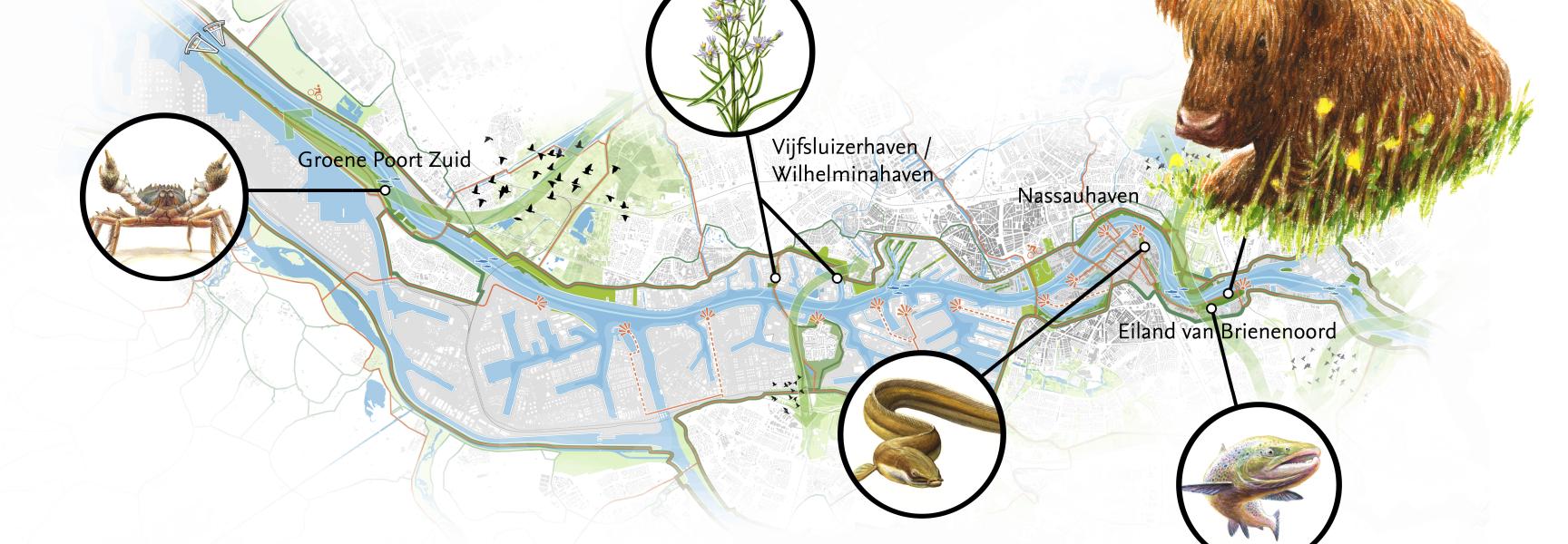 Struintocht Getijdenpark