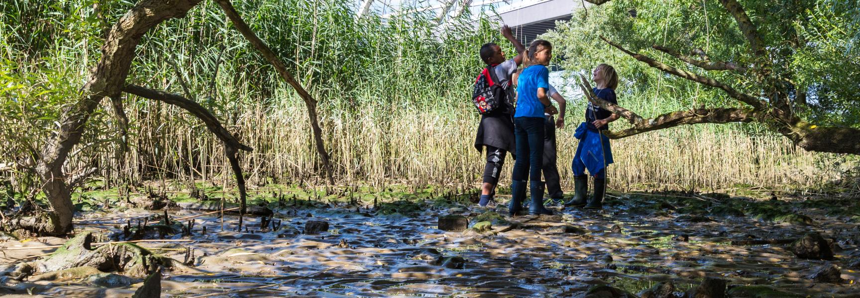 Eiland van Brienenoord. Foto: Etienne Ooldeman