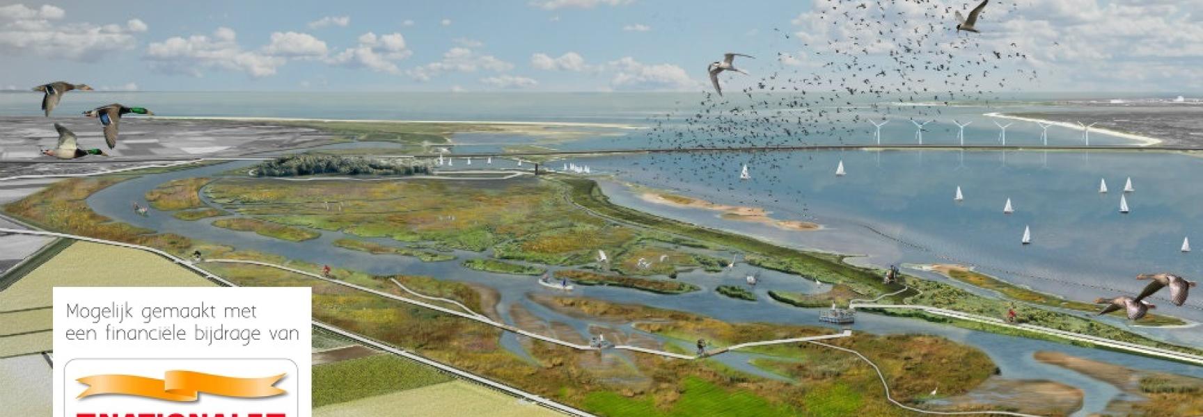 Nieuwe getijdennatuur Haringvliet
