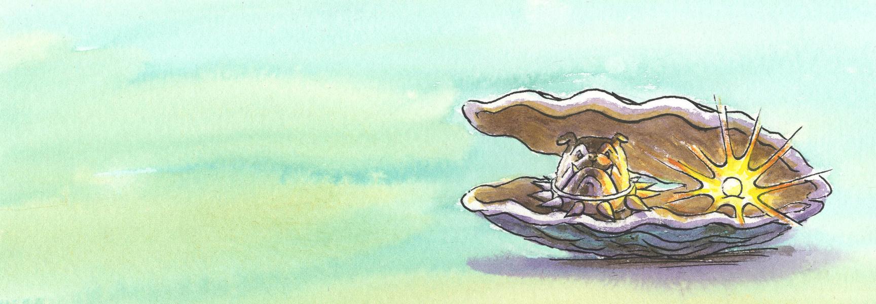 Banner geocache Koester de Oester