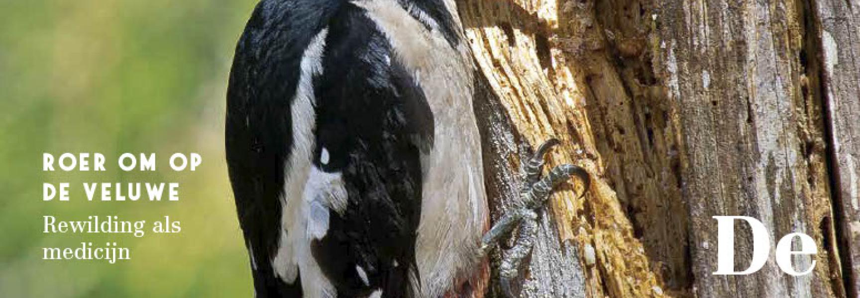 ARK Jaarmagazine 2020