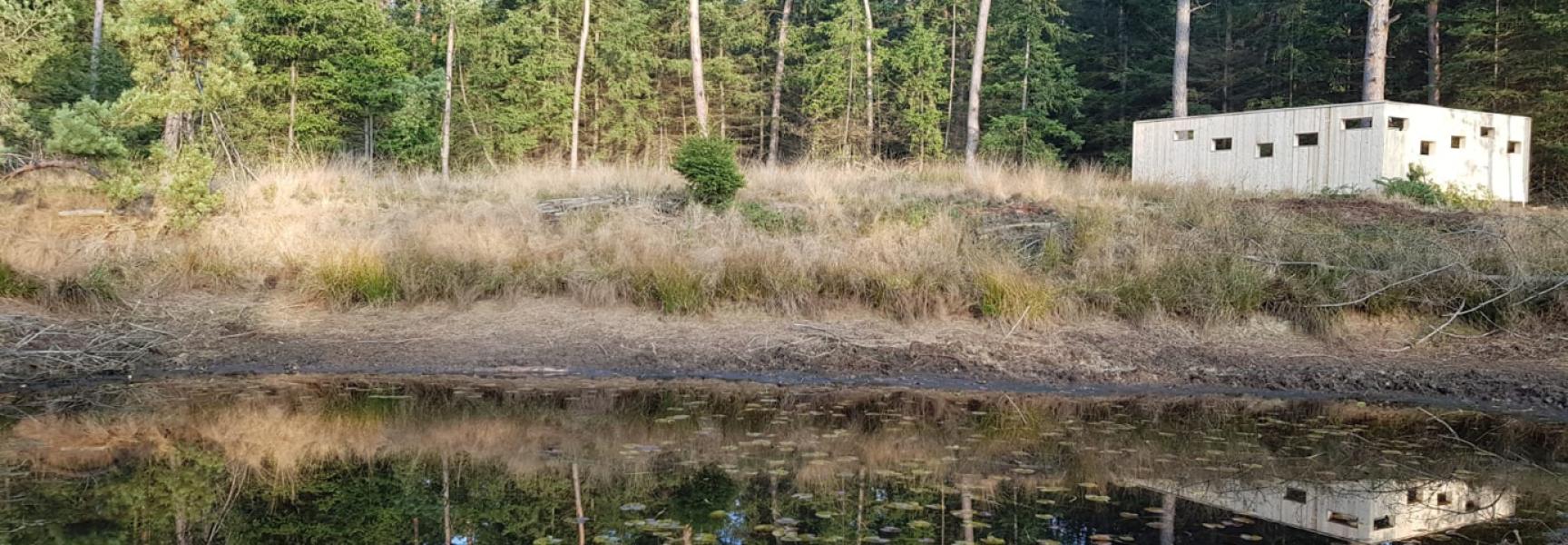 Wildkijkscherm in het Leenderbos bij Valkenswaard. Foto: Erik Schram/Staatsbosbeheer