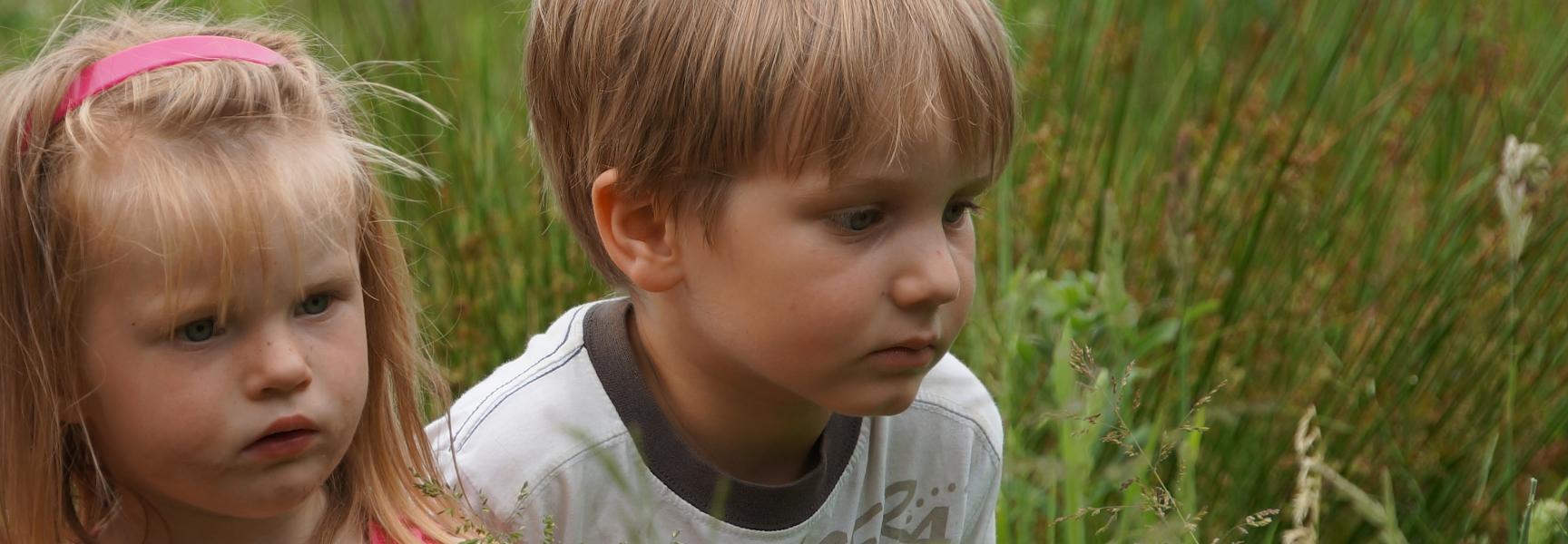 Kinderen Wolfhaag