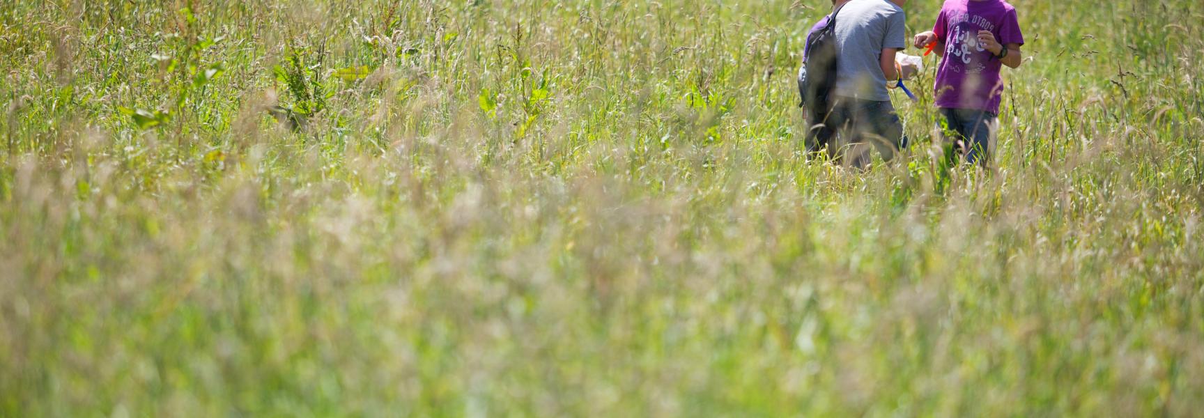 Jongens ontdekken nieuwe natuur in het zuiden van Limburg