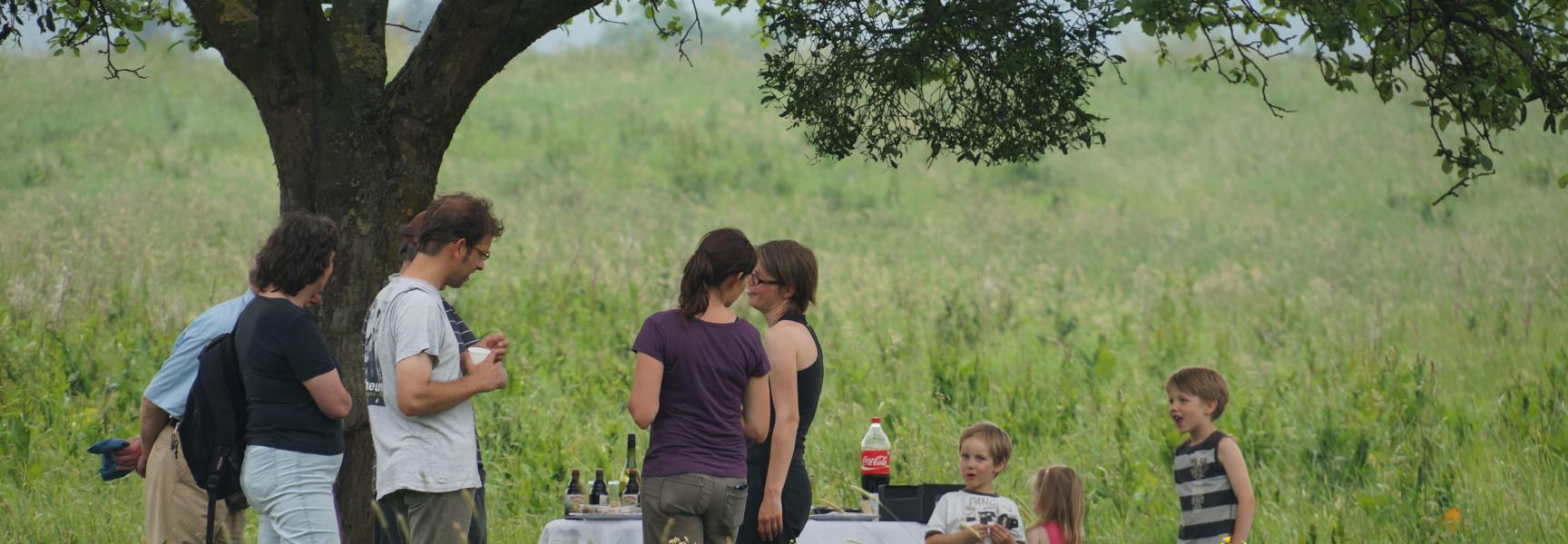 Picknick Wolfhaag
