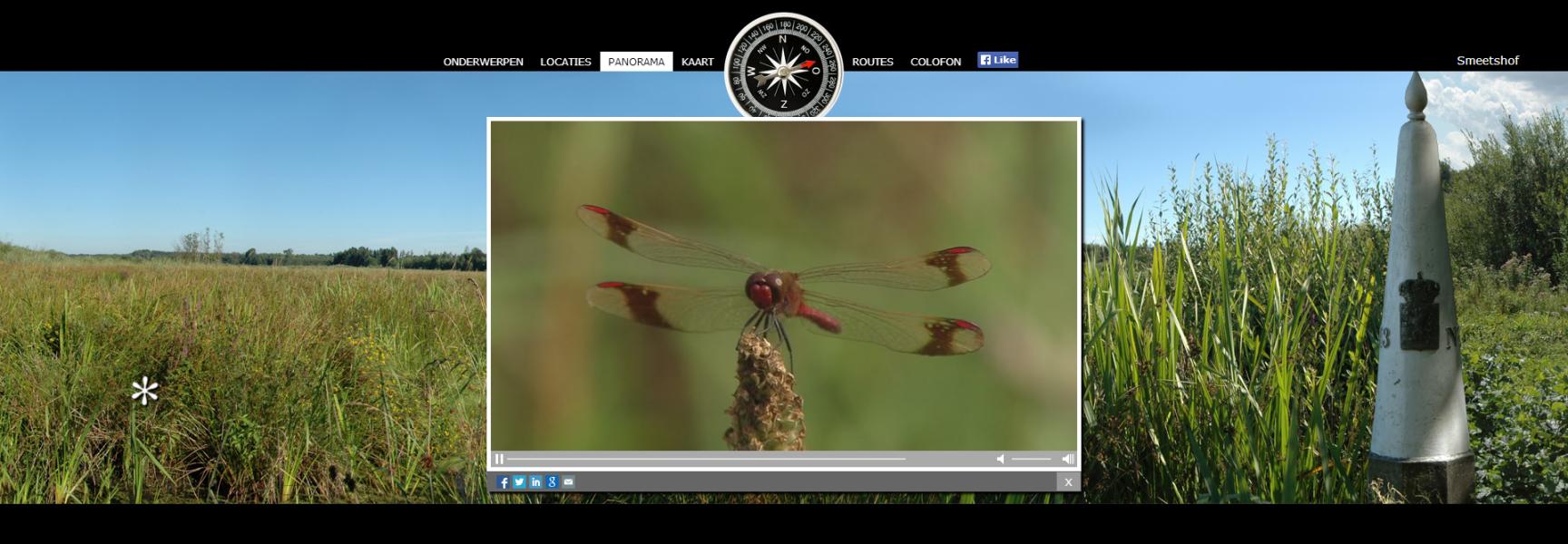 Dwaalfilm Smeetshof libellen