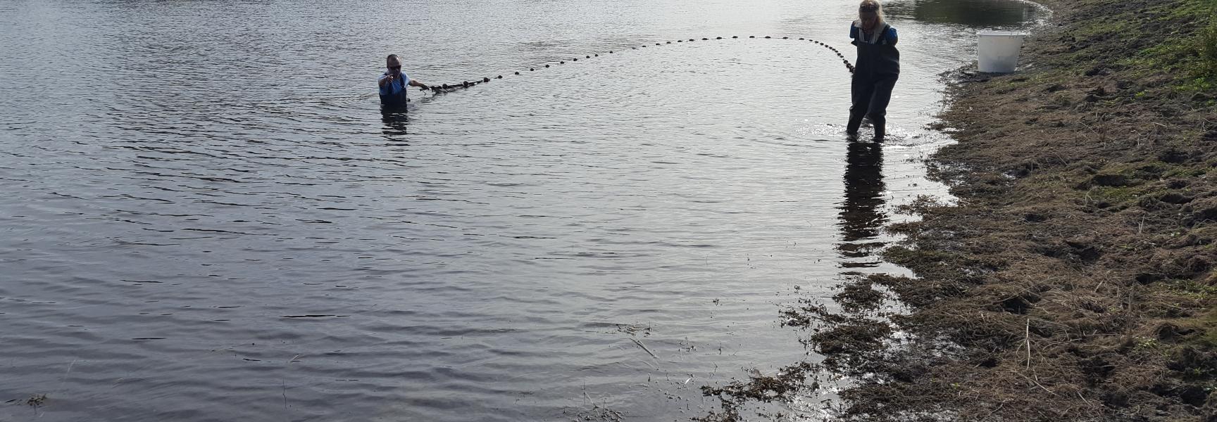 Visonderzoek in de Oude Waal bij Nijmegen
