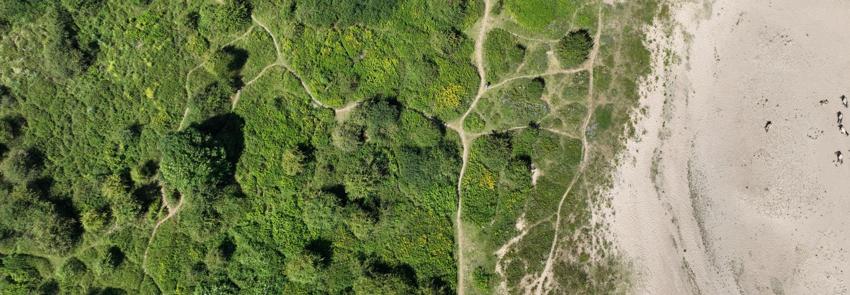Stierenkuilen in de Gelderse Poort