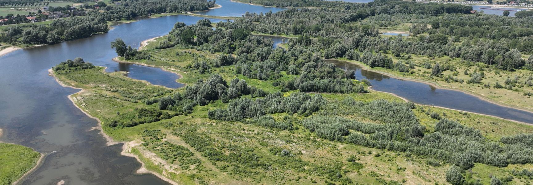 In de Millingerwaard is te zien hoe na 30 jaar natuurontwikkeling waterveiligheid én biodiversiteit samengaan. 