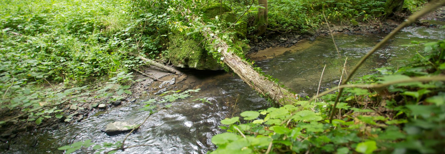 Verkiezing Mooiste Natuurgebied van Nederland