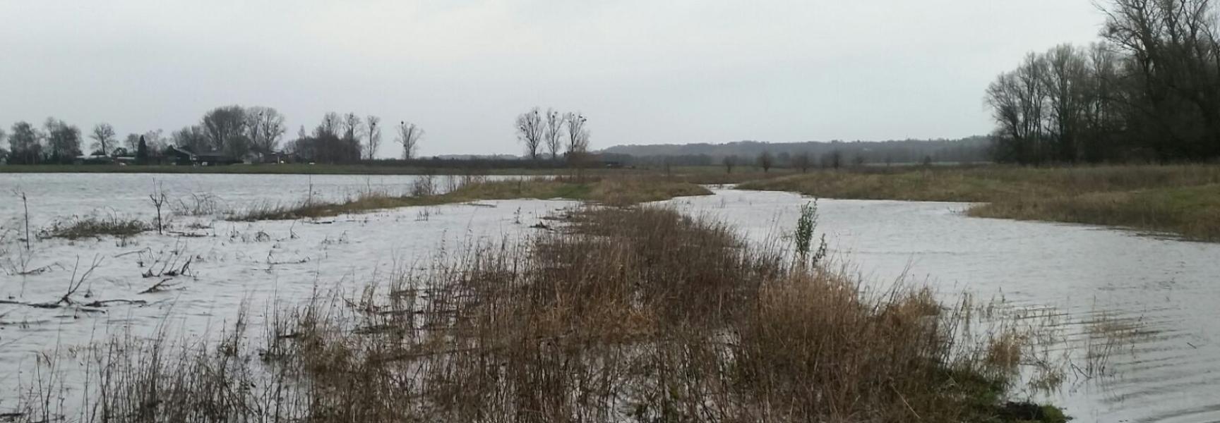 Hoogwater in de Grensmaas, foto: Patrick van den Burg, FREE Nature