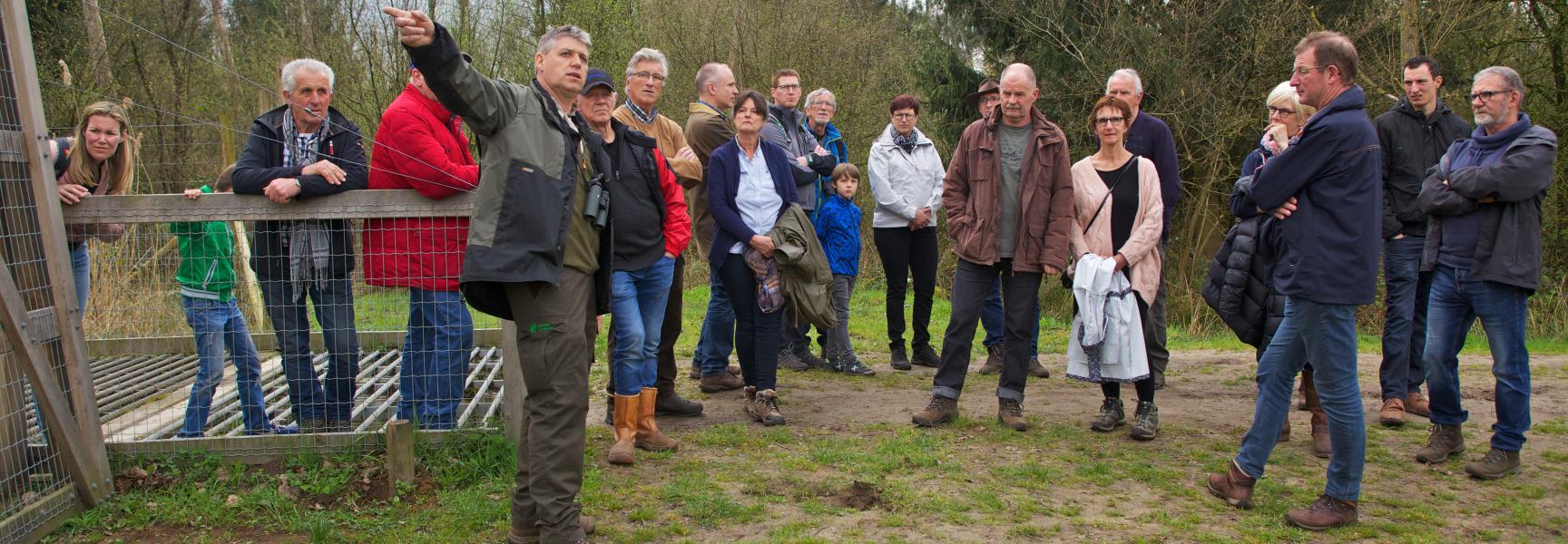 Edelhertenexcursie in Het Groene Woud