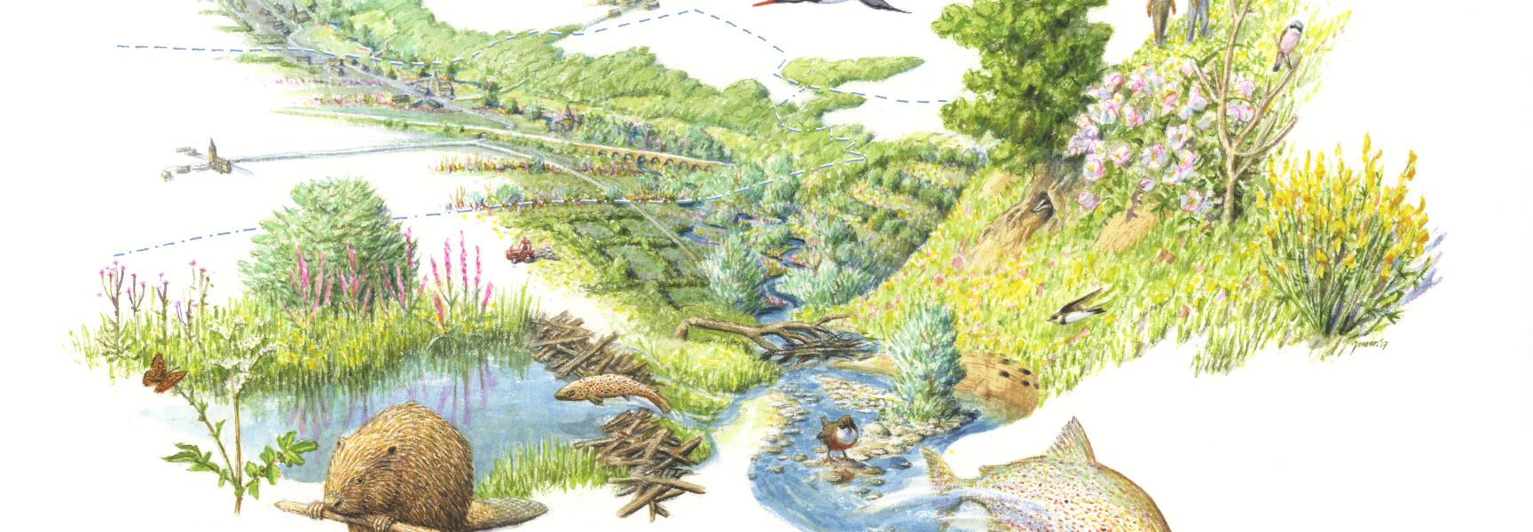 Toekomstvisie Gulpdal