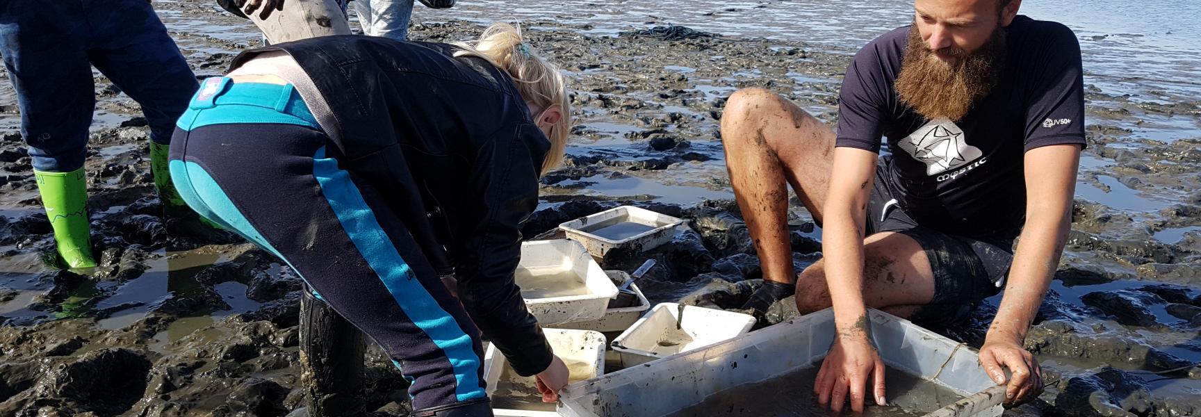 Korexcursie aan het Haringvliet tijdens Brakke Zaterdag