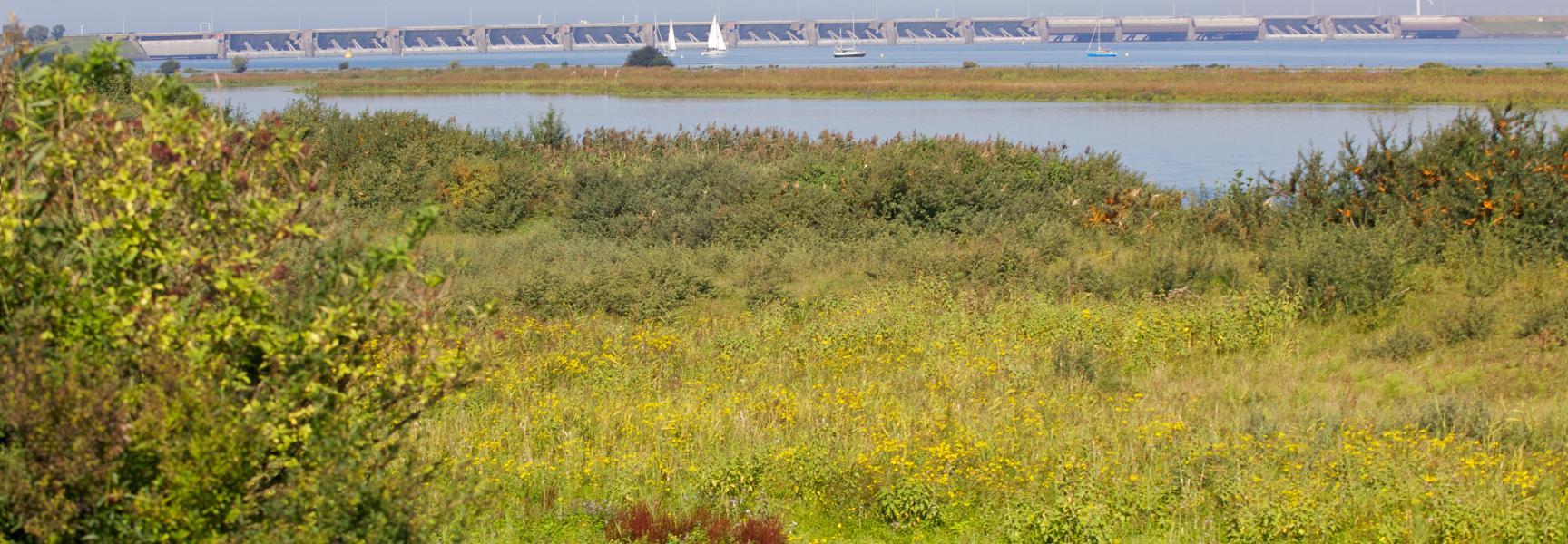 Haringvlietsluizen bij Stellendam