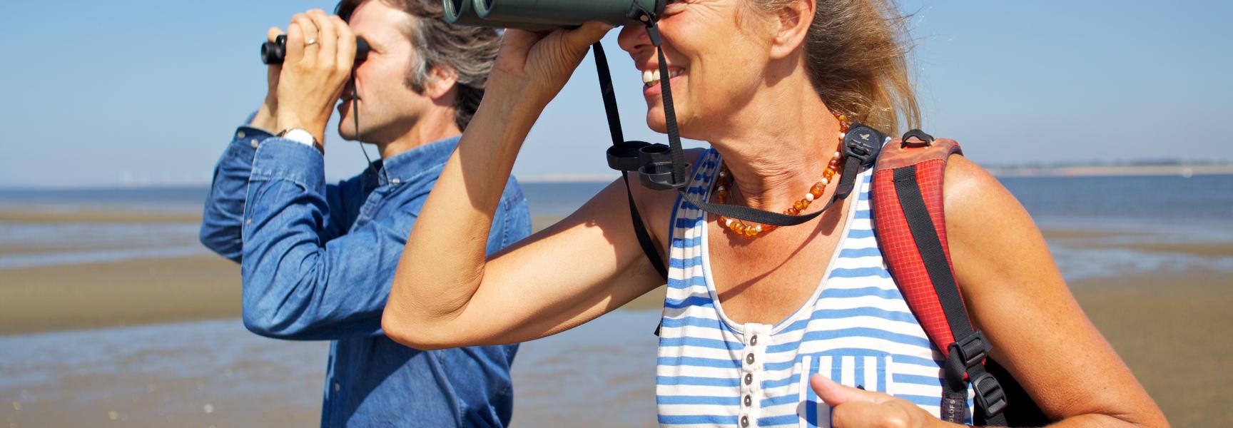 Ontdek het Haringvliet